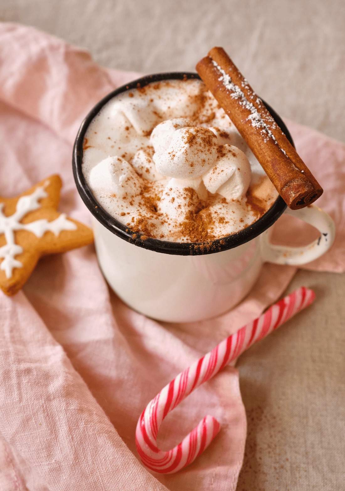 Dairy Free Cinnamon Hot Chocolate for First Trimester Cravings